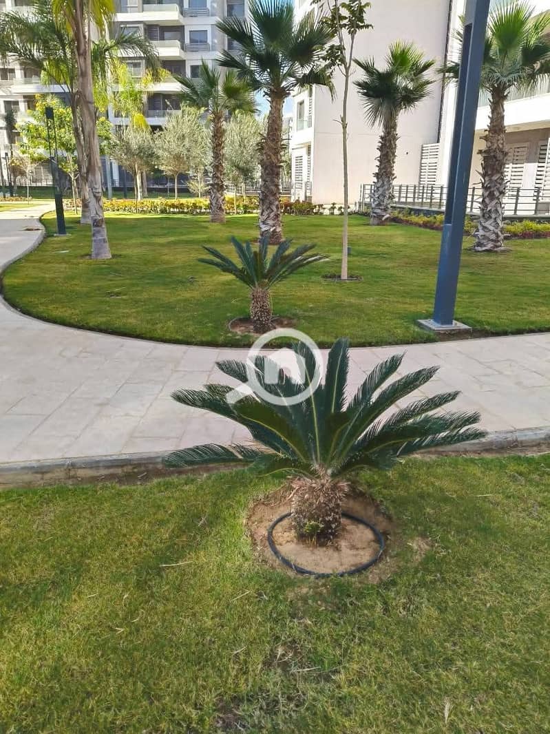 4 FB_IMG_1767733585819. jpg