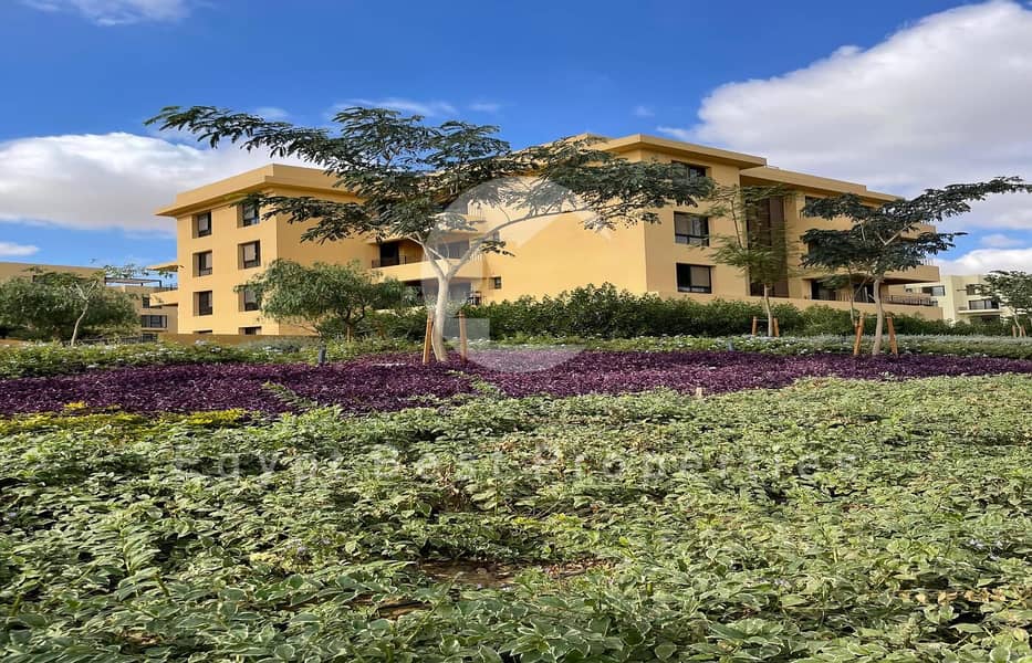 8 IMG-20241203-WA0068. jpg