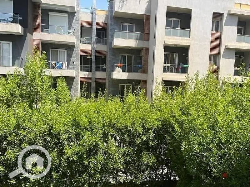 3 IMG-20250407-WA0345. jpg