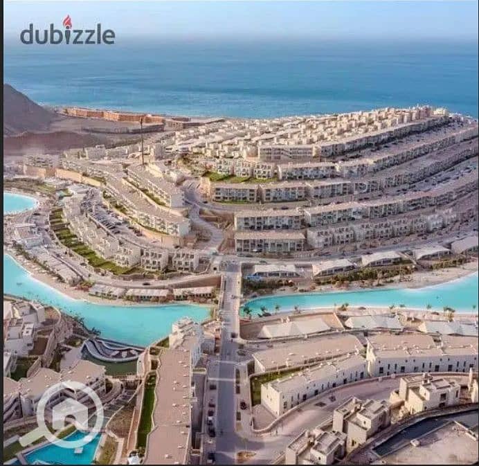 19 Screenshot_11. png