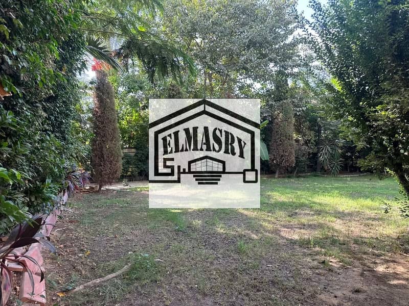 12 9722de0f-7108-4631-8a93-2116a472b55a. jpg