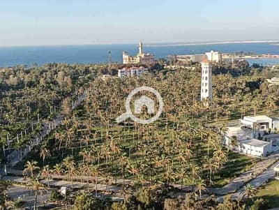 شقة فندقية 2 غرفة نوم للايجار في المندرة، الإسكندرية - 1000156499. jpg