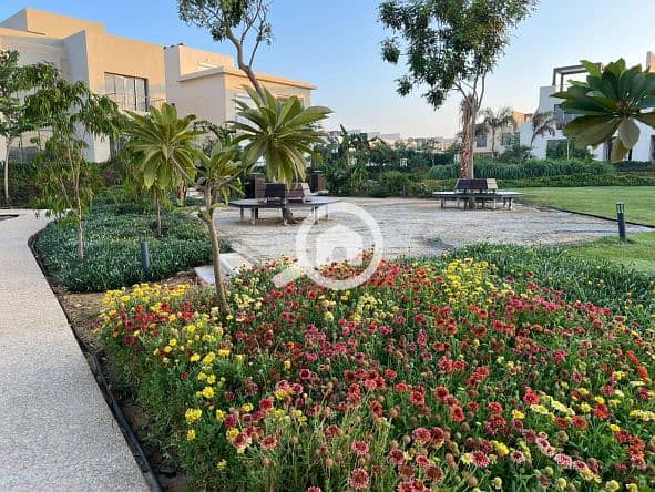 6 Screenshot 2025-10-04 125442. png