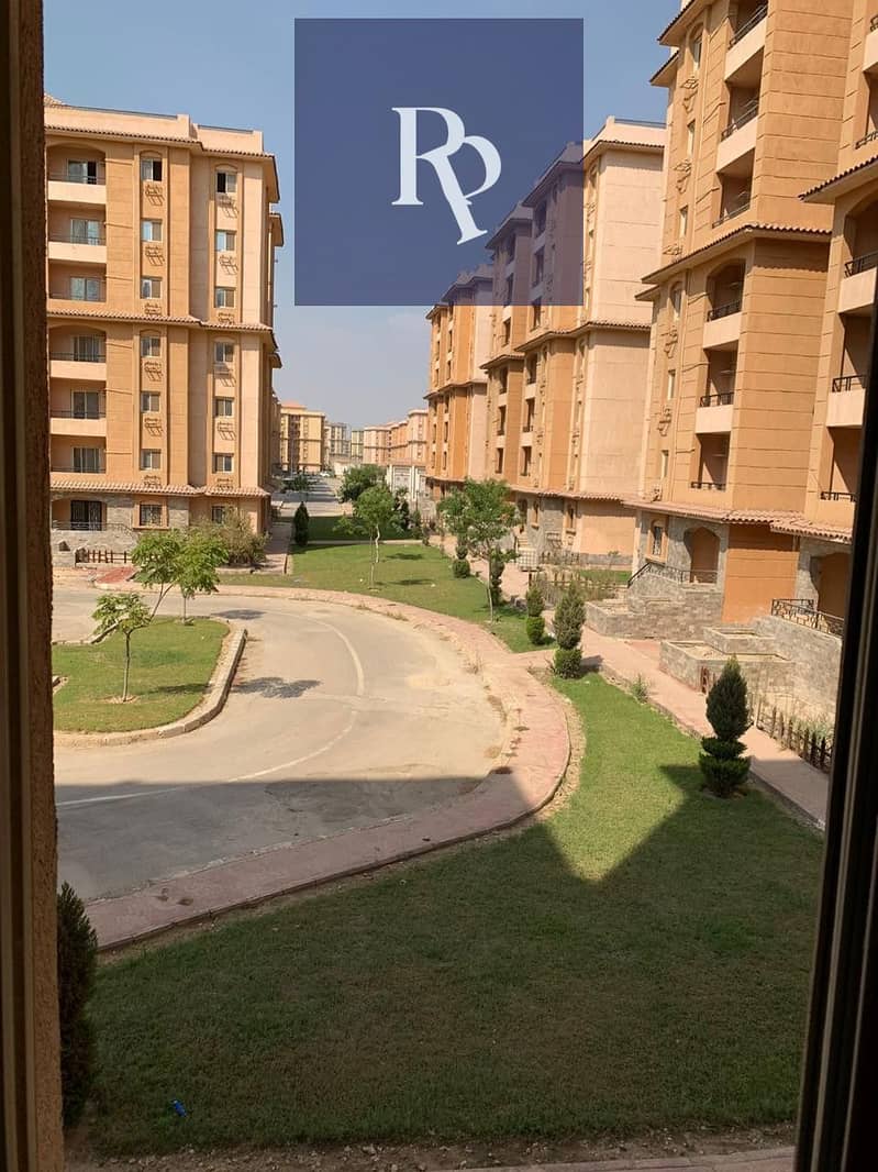 2 6919e1ff1d588. jpeg