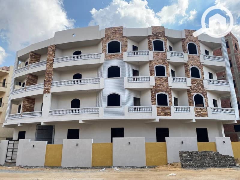 3 photo_5965449552988933046_y. jpg