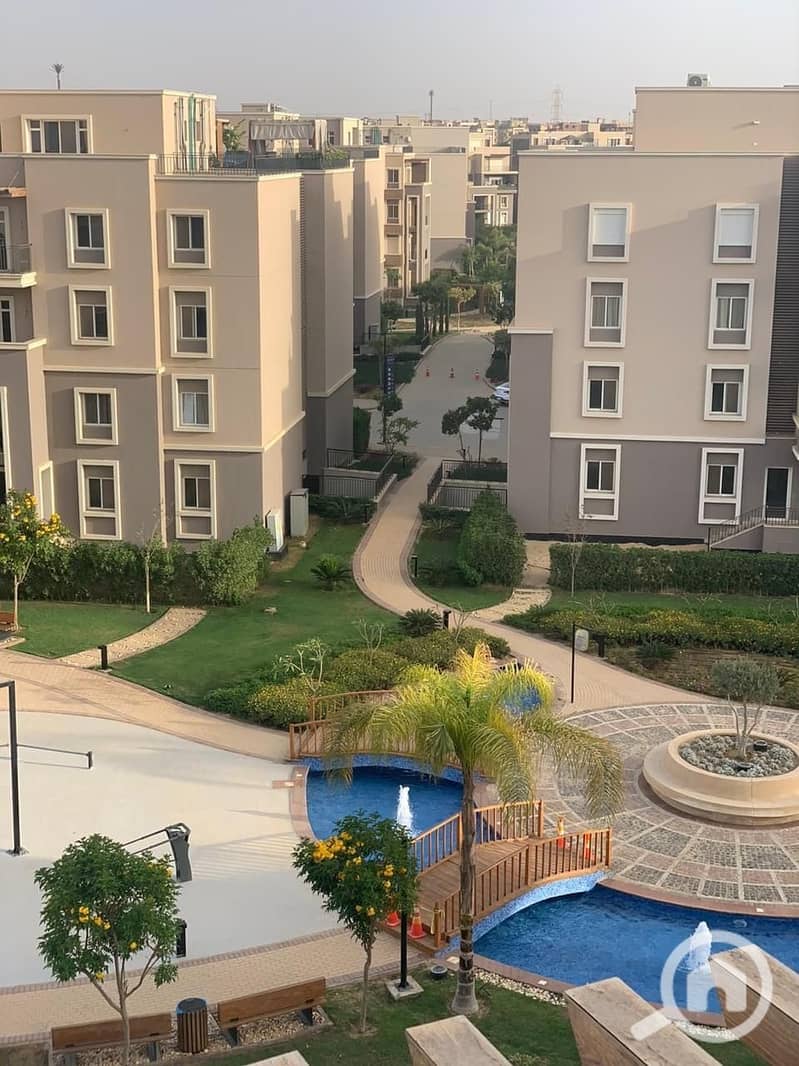 10 ce046937-1e3b-4586-9e1c-a2225e9a76b6. jpeg