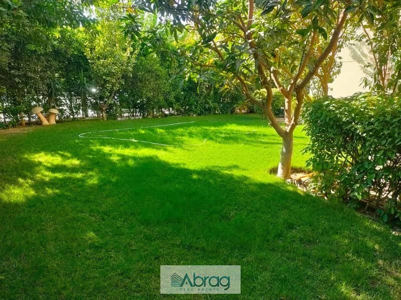 10 WhatsApp Image 2025-10-12 at 15.35. 37_bff9afd0. jpg