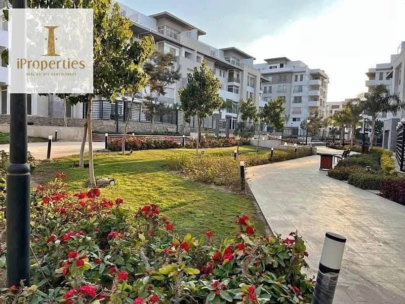 11 587106760_122144292524932247_4179161057531215599_n. jpg