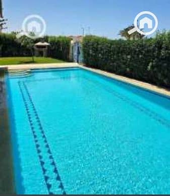 4 Screenshot_35. png