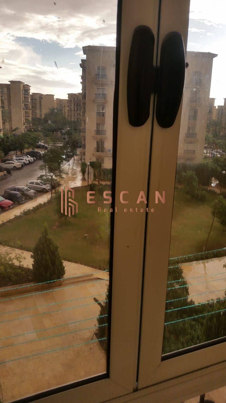 13 c1168508-028e-4597-943a-4940d2df073a. jpg