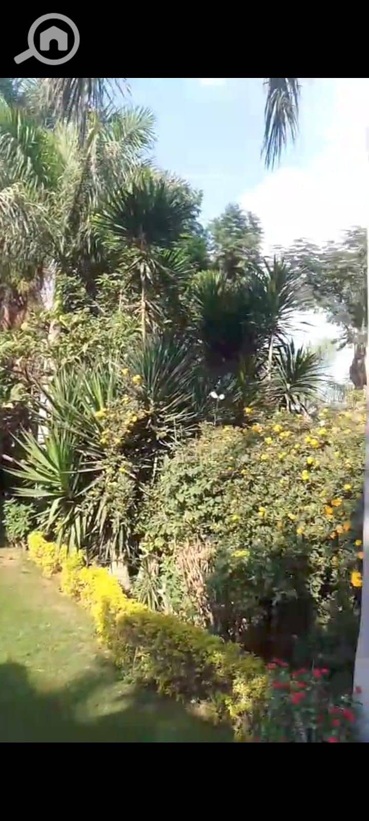 11 11bd5f65-083a-43ec-ba83-4449fd0744b3. jpeg