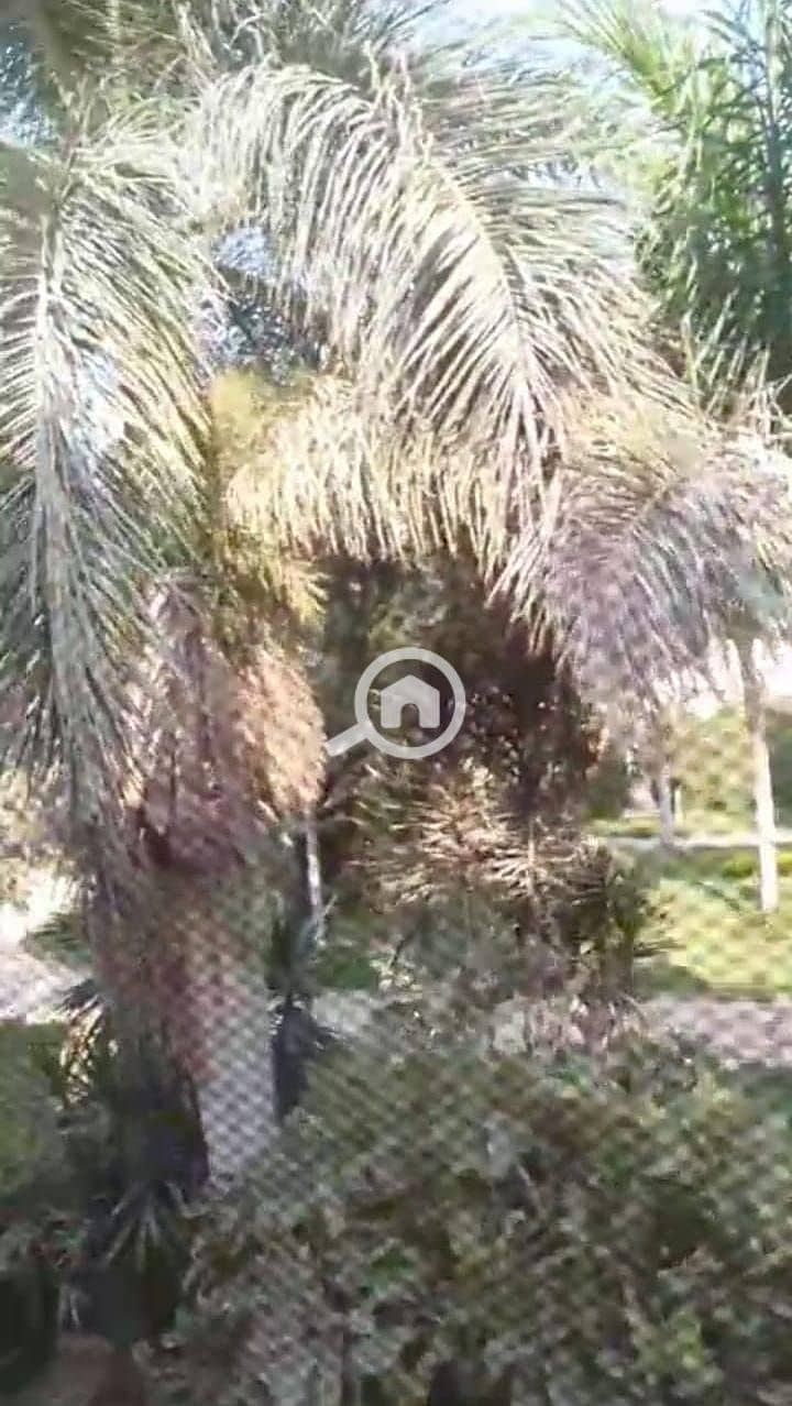 14 d676cdf6-3eee-4065-b3ba-151adc33f04a. jpeg