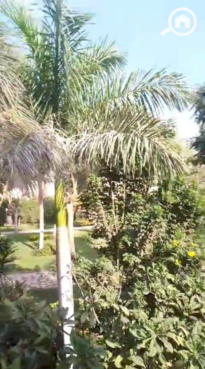 15 b8639cfb-9f5e-403e-8a19-359a154f1db3. jpeg