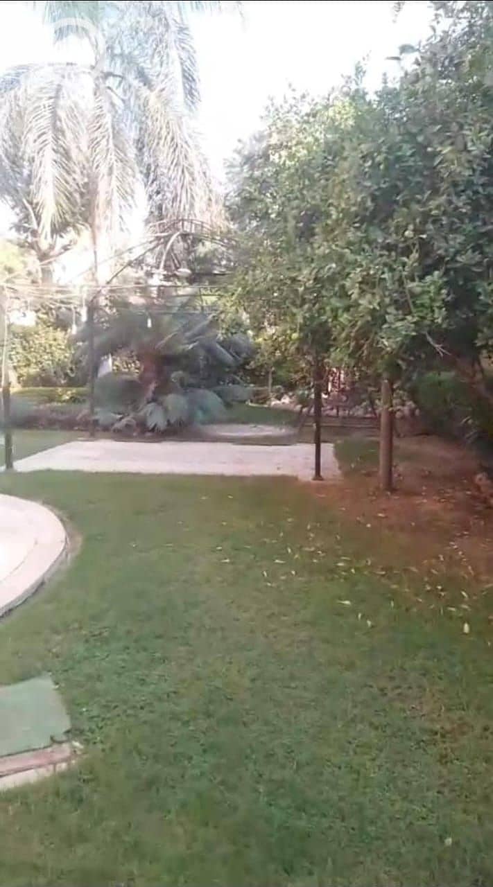 16 e1a26176-07d7-497f-a9b6-44414a6c8ecb. jpeg