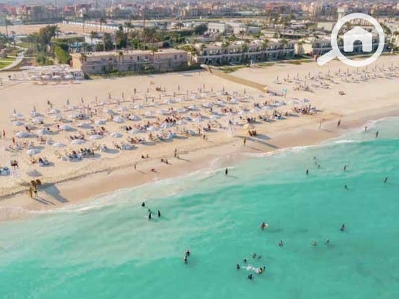 10 Untitled design (23) - Copy. png