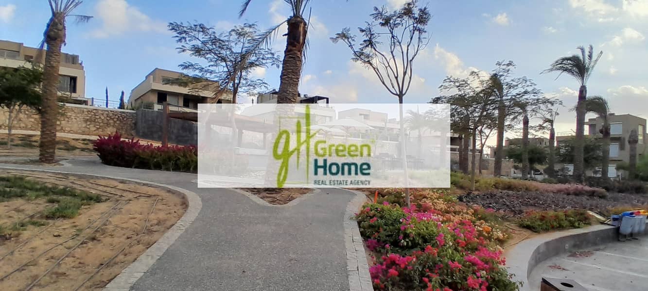 6 20260109_163245. jpg