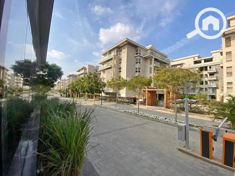 4 437558046_946391863799213_423113083548520175_n. jpg