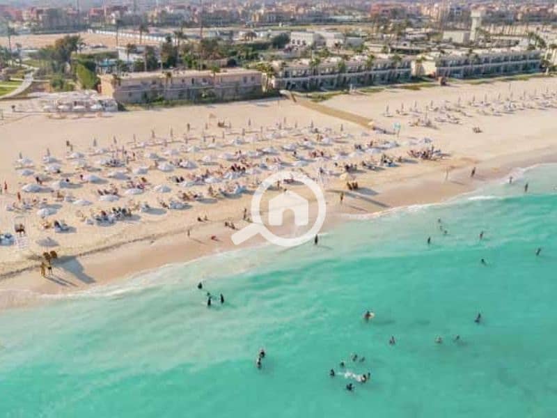 4 Untitled design (23) - Copy. png