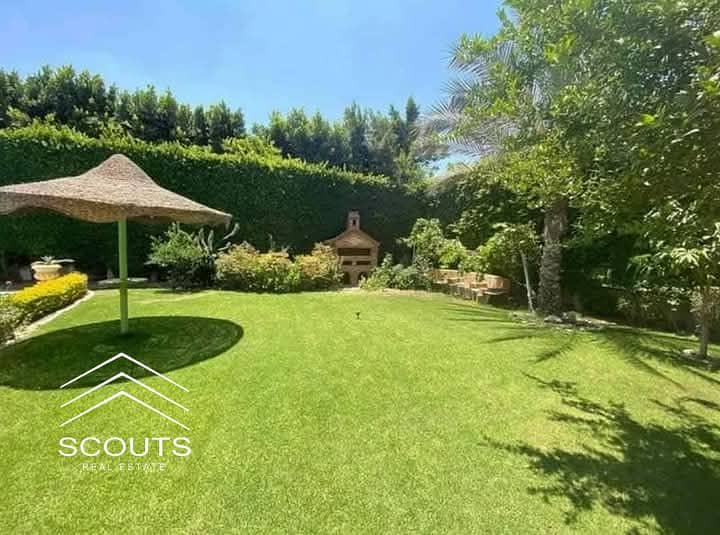 13 WhatsApp Image 2025-07-17 at 2.28. 57 PM. jpeg