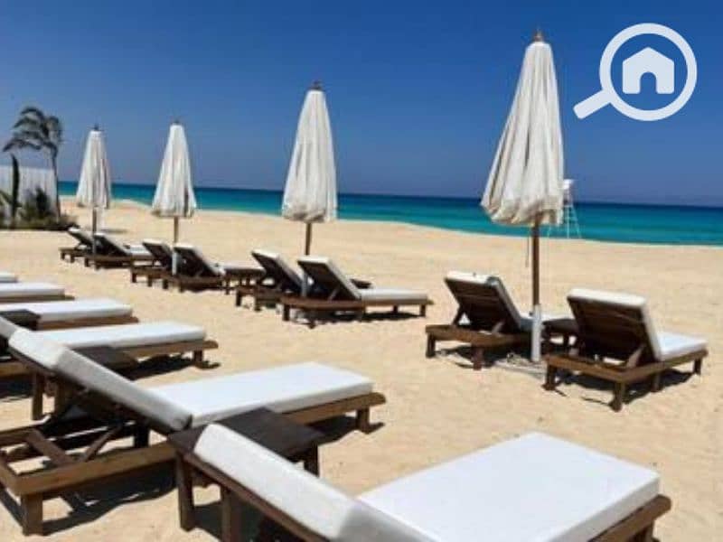 5 Untitled design - 2023-05-02T150908.084. png