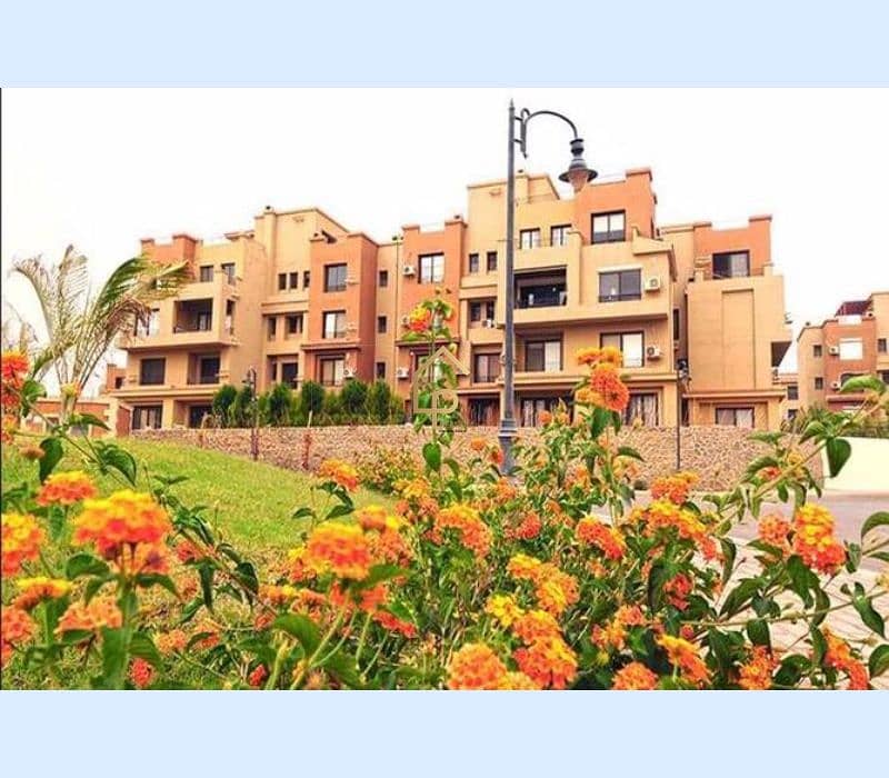 7 8330112-9ff76o. jpg