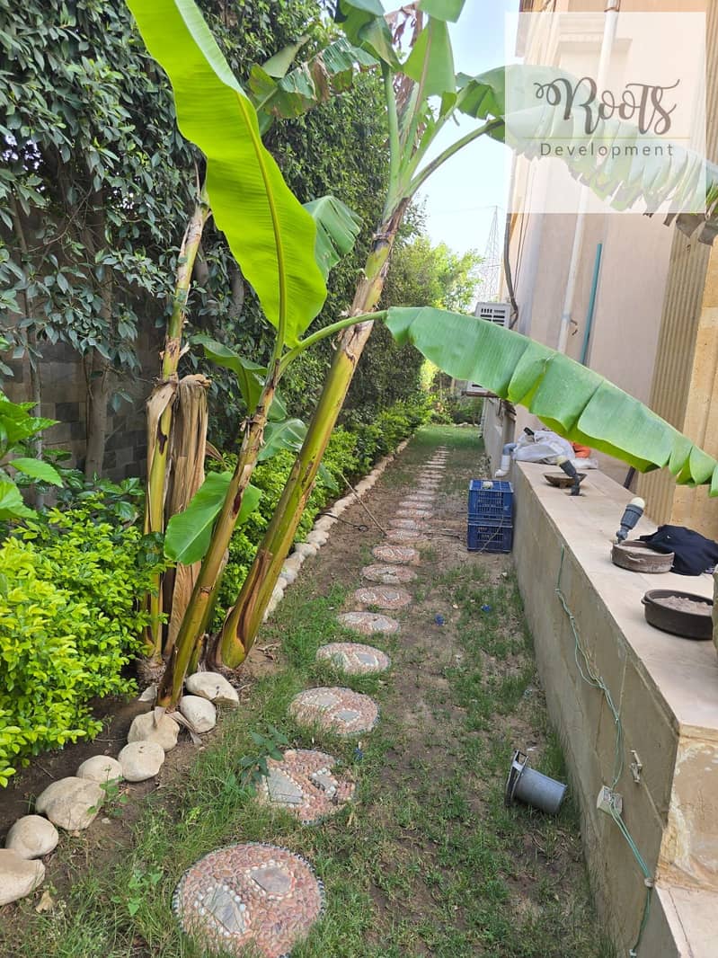 5 WhatsApp Image 2025-06-10 at 10.13. 32 AM (2). jpeg