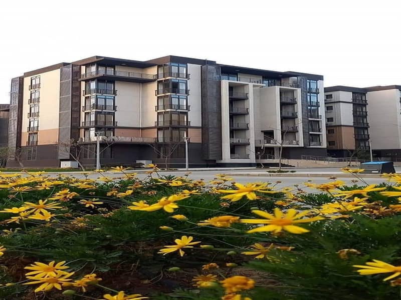 2 d267fc98-a793-47d2-8486-0ae65e04805f. jpg