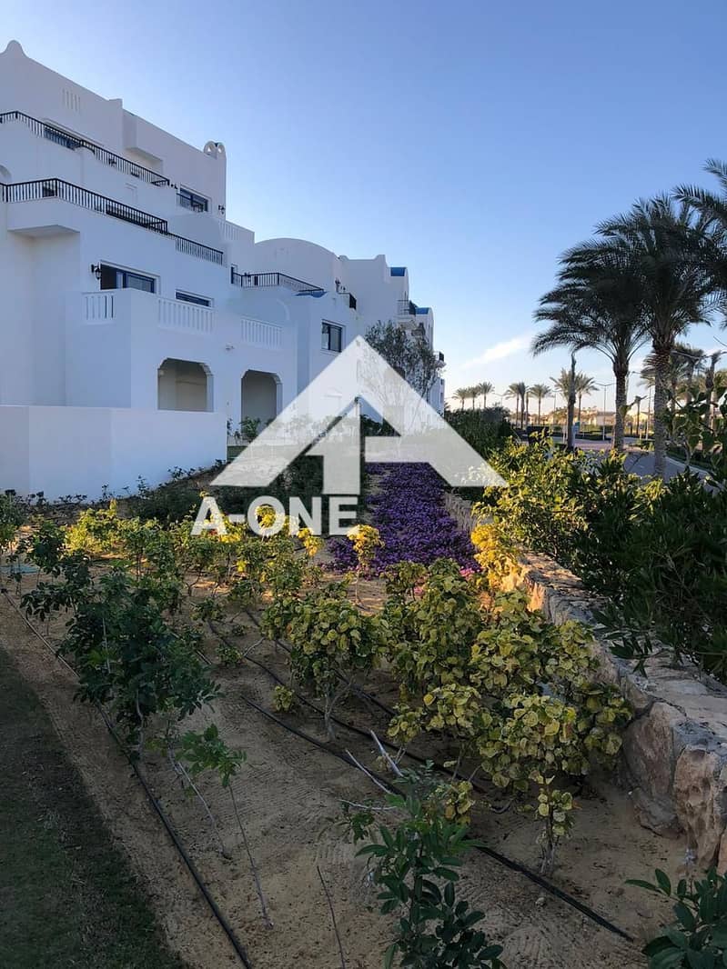 4 12bf86b7-fb7c-4b05-b6e8-d5e2335c7f3b. jpg