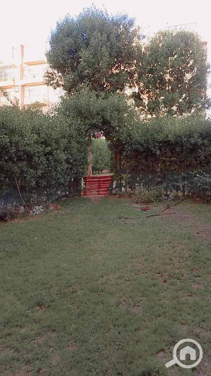 9 dc7ea28e-1e26-453e-a564-90f04275957d. jpg