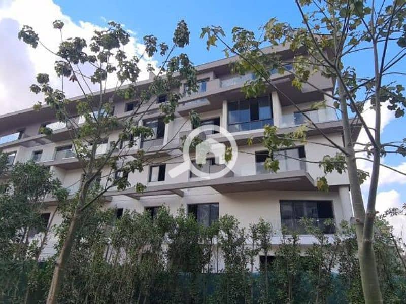 5 Untitled design (91). png