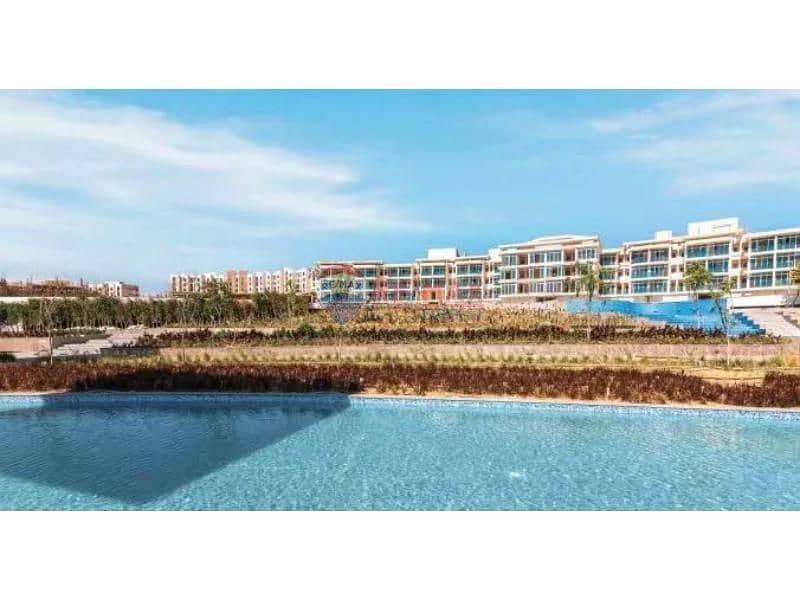 8 5e8a4f25-557d-4d2a-83e8-2f7176f5302a. jfif. jpg