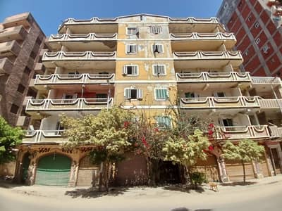 Residential Land for Sale in Agami, Alexandria - عمارة للبيع بالعجمي - البيطاش - مباشرة على شارع البيطاش الرئيسي