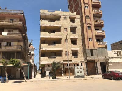Residential Land for Sale in Agami, Alexandria - عماره للبيع بالاسكندريه - العجمي - شارع البيطاش 273م