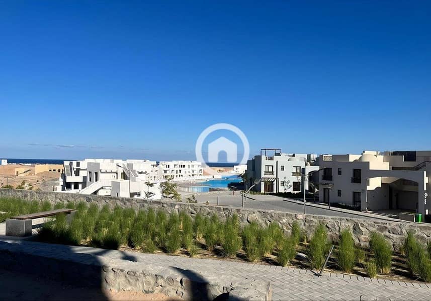 3 photo_2024-02-23_20-11-03(1). jpg