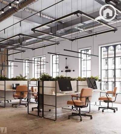 Office for Rent in Mansura, Dakahlia - IMG_9131. jpg