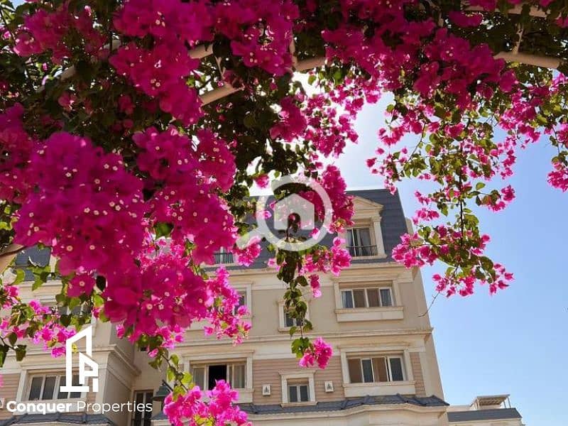 6 Untitled design - 2023-11-30T155914.493. png