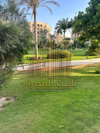 استوديو  للايجار في القاهرة الجديدة، القاهرة - 611285097_122274342122305610_4480393048889460941_n. jpg