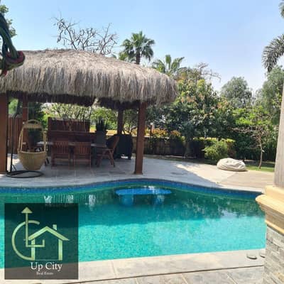 8 Bedroom Villa for Rent in New Cairo, Cairo - WhatsApp Image 2026-01-14 at 17.45. 27. jpeg