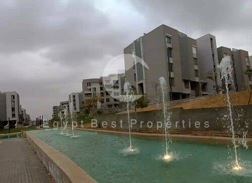 7 594559641_1624490138904991_8849507753782568807_n. jpg