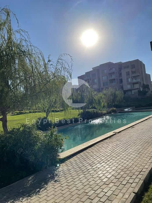 8 598269488_2914319152090562_1493097630920495114_n. jpg