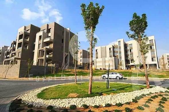 9 504770658_2149807998824041_2849006444498382669_n. jpg