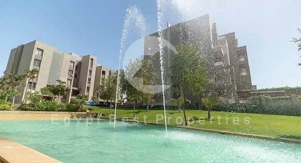 10 503492676_2149810645490443_1028613746410589169_n. jpg