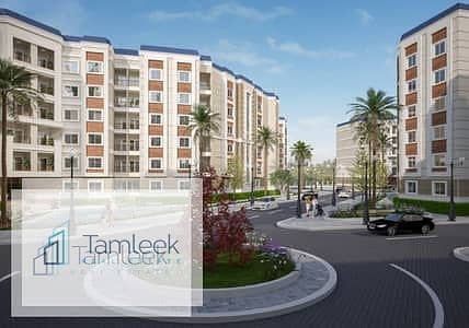 3 32621557-400x300. jpeg