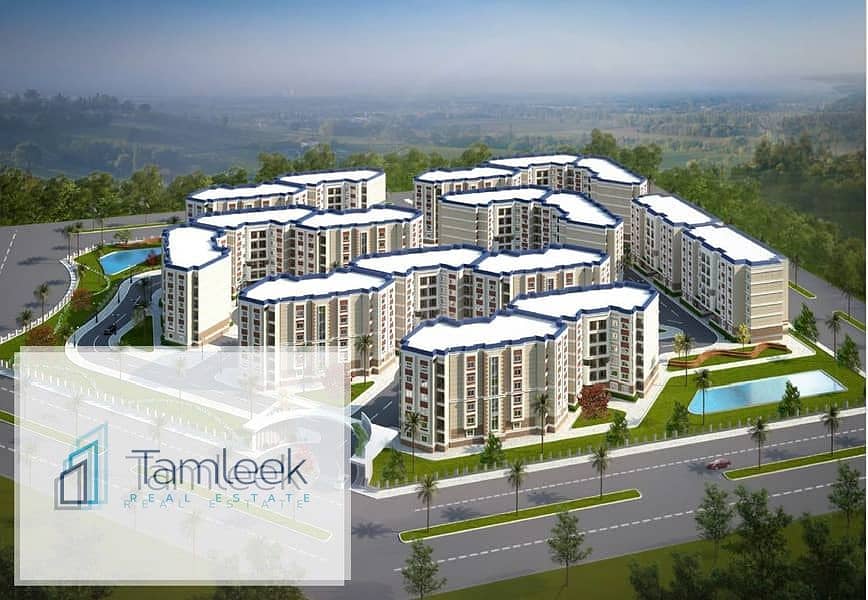 7 32621556-800x600. jpeg