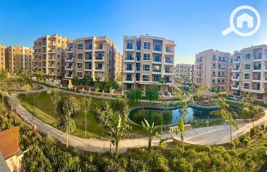 2 51d97512-f658-4310-8b69-ed4e335886f6. jpg