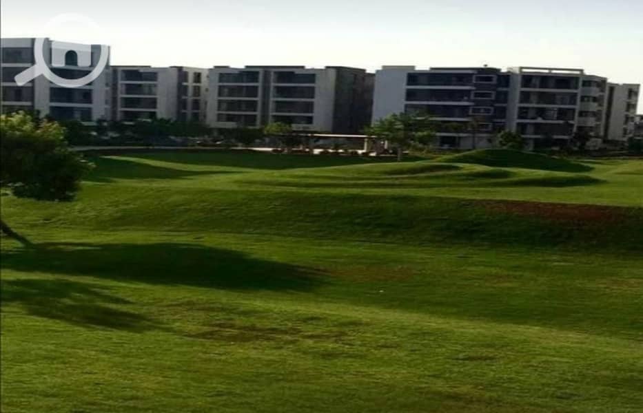 5 369e801b-e556-4216-a9f1-72f0fa1c1bdc. jpg