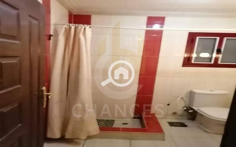 8 4821425e-ca6d-44de-97bb-6962aeb99692_800x500. jpg