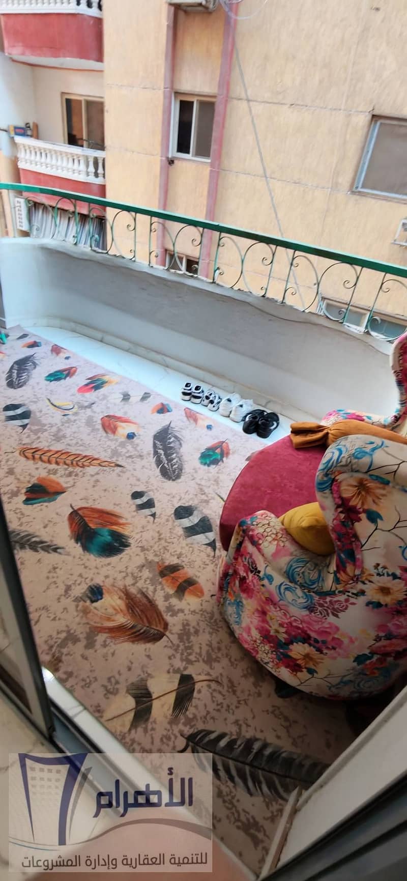 10 615180295_1187323296879203_7240294792385404531_n. jpg