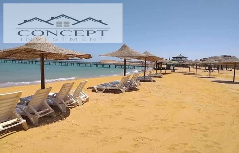 10 017f00eb-47bc-4e1e-8cbf-8702b4b3616c. jpeg