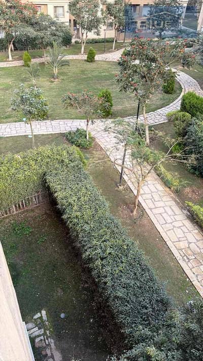 3 Bedroom Flat for Rent in Madinaty, Cairo - IMG_1693. jpg